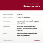 Бальзамин Fiesta Red (0,1л) — параметры сорта