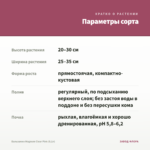 Бальзамин Magnum Clear Pink (0,1л) — параметры сорта