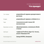 Бальзамин Magnum Clear Pink (0,1л) — что приедет
