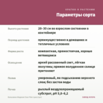 Бальзамин Magnum Clear Pink (срез/1шт) — параметры сорта