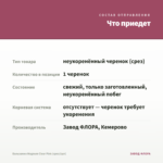 Бальзамин Magnum Clear Pink (срез/1шт) — что приедет