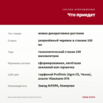 Бальзамин Musica Bicolor Dark Red (0,1л) — что приедет