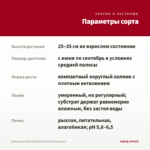 Бальзамин Musica Bicolor Dark Red (срез/3шт) — параметры сорта