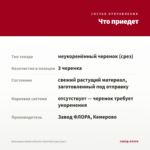 Бальзамин Musica Bicolor Dark Red (срез/3шт) — что приедет