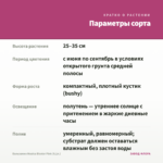 Бальзамин Musica Bicolor Pink (0,1л.) — параметры сорта
