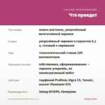 Бальзамин Musica Bicolor Pink (0,1л.) — что приедет