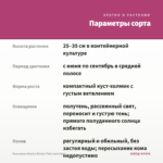 Бальзамин Musica Bicolor Pink (срез/3шт) — параметры сорта