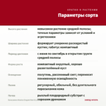 Бальзамин Musica Elegant Red (0,1л) — параметры сорта
