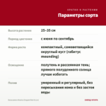 Бальзамин Musica Elegant Red (0,1л) — параметры сорта