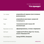 Бальзамин Musica Fine Purple (0,1л) — что приедет