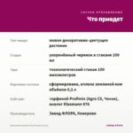 Бальзамин Musica Fine Purple (0,1л) — что приедет