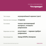 Бальзамин Musica Pink Aroma (срез/3шт) — что приедет