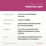 Бальзамин Musica Pink Double (0,1л) — параметры сорта