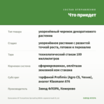 Бальзамин НГ Sunpatiens Spreading White-вариегатный (0,1л) — что приедет
