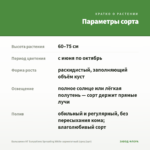 Бальзамин НГ Sunpatiens Spreading White-вариегатный (срез/1шт) — параметры сорта