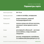 Бальзамин НГ Sunpatiens Spreading White-вариегатный (срез/1шт) — параметры сорта