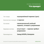 Бальзамин НГ Sunpatiens Spreading White-вариегатный (срез/1шт) — что приедет