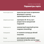 Бальзамин Новогвинейский Harmony Radiance Hot Pink (0,1л) — параметры сорта