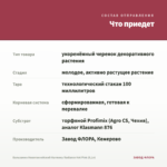 Бальзамин Новогвинейский Harmony Radiance Hot Pink (0,1л) — что приедет