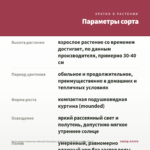 Бальзамин Новогвинейский Harmony Radiance Hot Pink (срезы/3шт) — параметры сорта