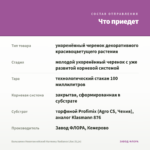 Бальзамин Новогвинейский Harmony Radiance Lilac (0,1л) — что приедет