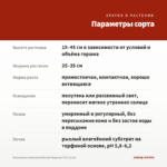 Бальзамин новогвинейский Magnum Fire (0,1л) — параметры сорта