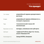 Бальзамин новогвинейский Magnum Fire (0,1л) — что приедет