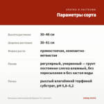 Бальзамин новогвинейский Magnum Fire (срез/3шт) — параметры сорта