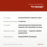 Бальзамин новогвинейский Magnum Fire (срез/3шт) — что приедет