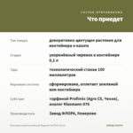 Бальзамин новогвинейский Magnum Hot Pink (0,1л) — что приедет