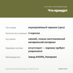 Бальзамин новогвинейский Magnum Hot Pink (срез/3шт) — что приедет