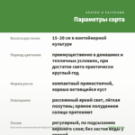 Бальзамин новогвинейский Magnum Pure White (0,1л) — параметры сорта