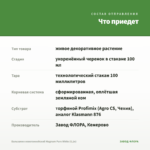 Бальзамин новогвинейский Magnum Pure White (0,1л) — что приедет