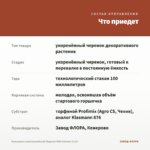 Бальзамин новогвинейский Magnum Wild Salmon (0,1л) — что приедет