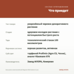Бальзамин новогвинейский Magnum Wild Salmon (0,1л) — что приедет