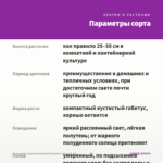 Бальзамин новогвинейский Paradise Fancy (0,1л) — параметры сорта