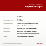 Бальзамин новогвинейский Paradise Orotina (0,1л) — параметры сорта