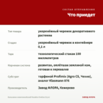 Бальзамин новогвинейский Paradise Orotina (0,1л) — что приедет