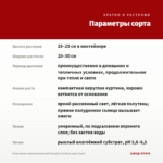 Бальзамин новогвинейский Paradise Orotina (срез/3шт) — параметры сорта