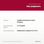 Бальзамин новогвинейский Paradise Tomini (срез/3шт) — как укоренить черенок