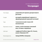 Бальзамин Новогвинейский Sol-Luna Prime Luxe Lavender (0,1л) — что приедет