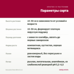 Бальзамин Ruby White (0,1л) — параметры сорта