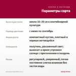 Бальзамин Ruby White (0,1л) — параметры сорта