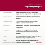 Бальзамин Ruby White (срез/3шт) — параметры сорта