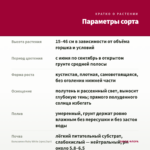 Бальзамин Ruby White (срез/3шт) — параметры сорта