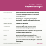 Бальзамин Уоллера Musica Princess Pink (0,1л) — параметры сорта