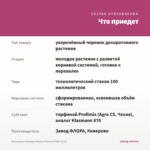 Бальзамин Уоллера Musica Princess Pink (0,1л) — что приедет