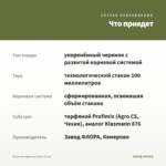 Базилик Африкан Блю (0,1л) — что приедет