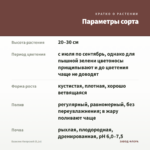 Базилик Кипрский (0,1л) — параметры сорта