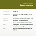 Бегония Ампельная Belleconia Apricot Blush (0,1л) — параметры сорта